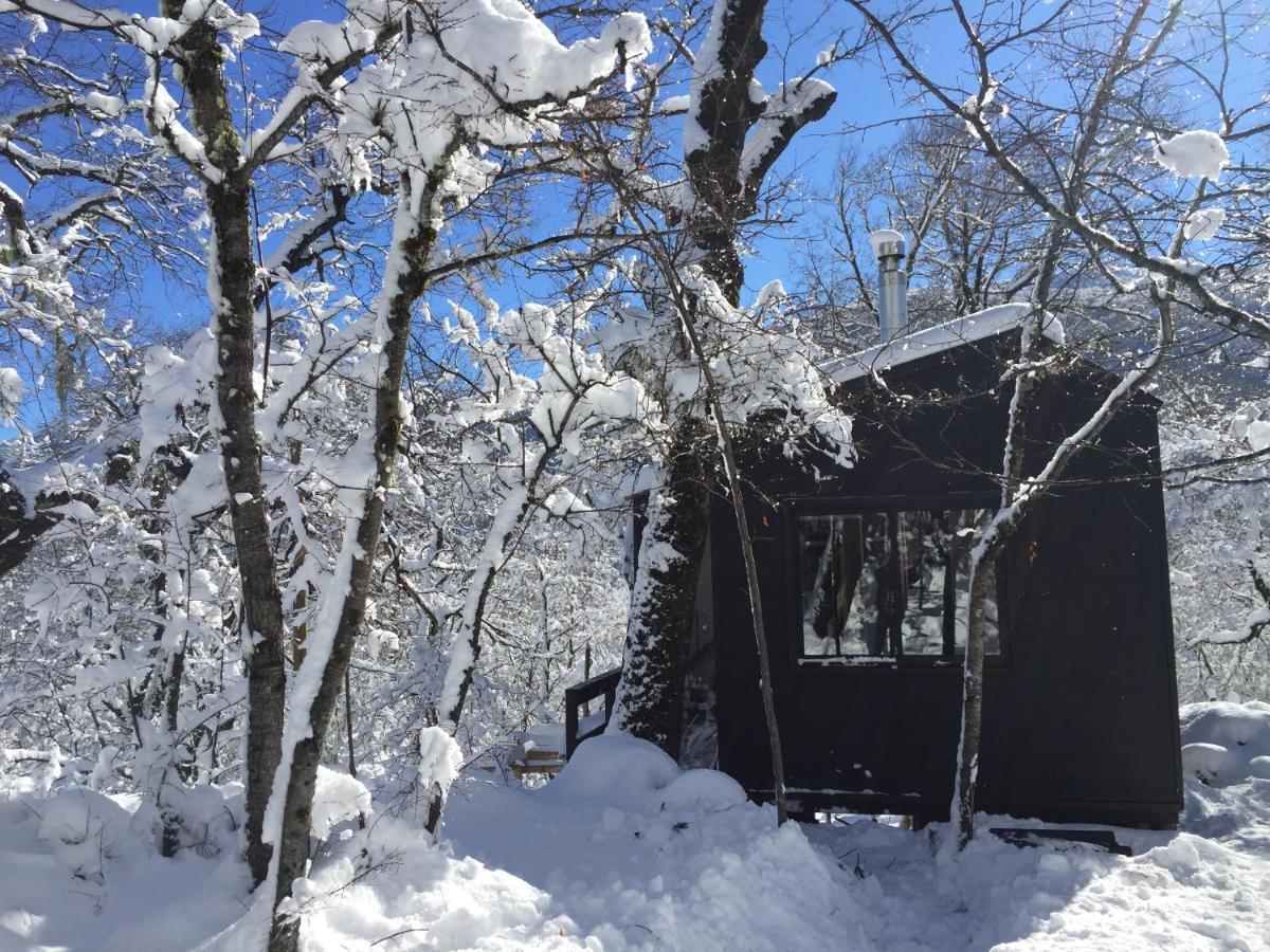 Chillan House Βίλα Las Trancas Εξωτερικό φωτογραφία